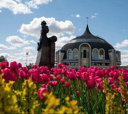 Тула.  Тульская область. из Радужного
